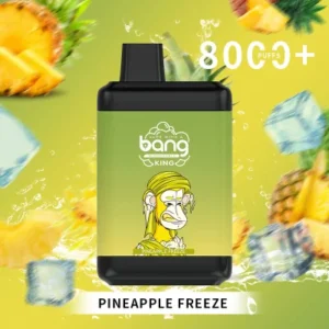 Bang King 8000 Puffs 0% 2% 3% 5% Nikotiini ühekordse kasutusega vape hulgimüük – KeenVape – 20