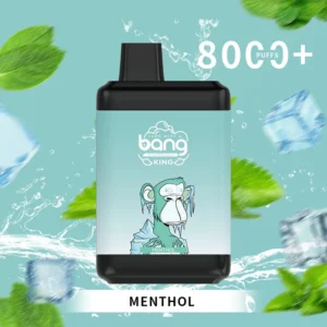 Bang King 8000 Puffs 0% 2% 3% 5% Nikotiini ühekordse kasutusega vape hulgimüük – KeenVape – 18