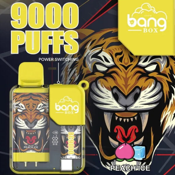 Bang Box 9000 Puffs 0% 2% 3% 5% Nicotine Rechargeable LED Pover Display Disposable Vape Wholesale - KeenVape - 2