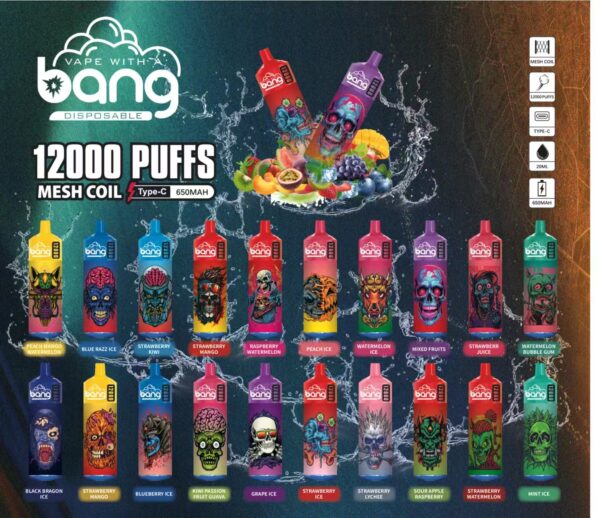 Bang Box 12000 Puffs 0% 2% 3% 5% Nicotine Rechargeable Disposable Vape Wholesale - KeenVape - 1